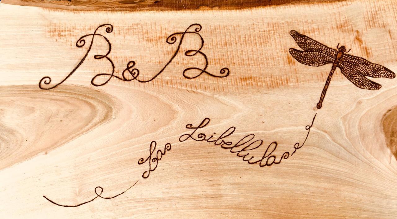 Castelnuovo Nigra B&B La Libellula מראה חיצוני תמונה